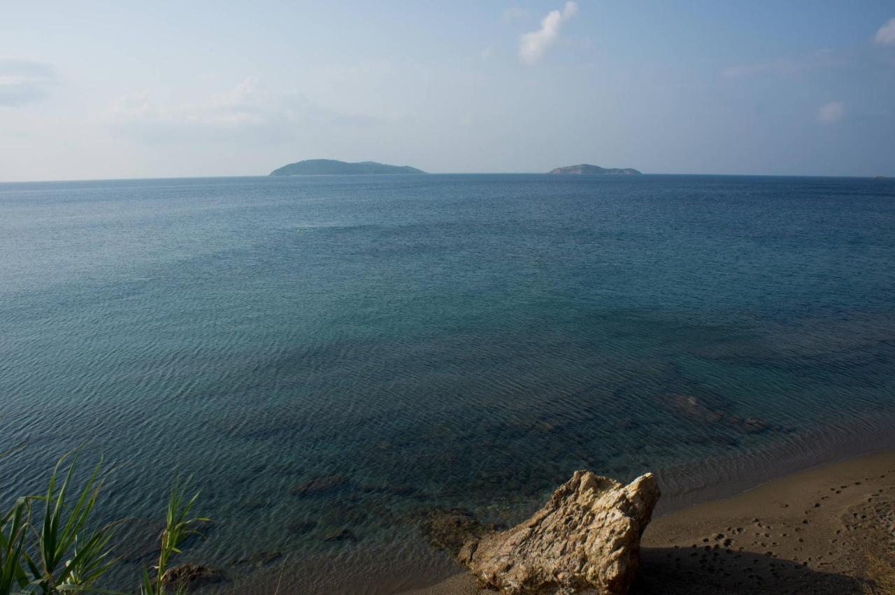 Aphrodite Skiathos Megali Ammos  Ngoại thất bức ảnh